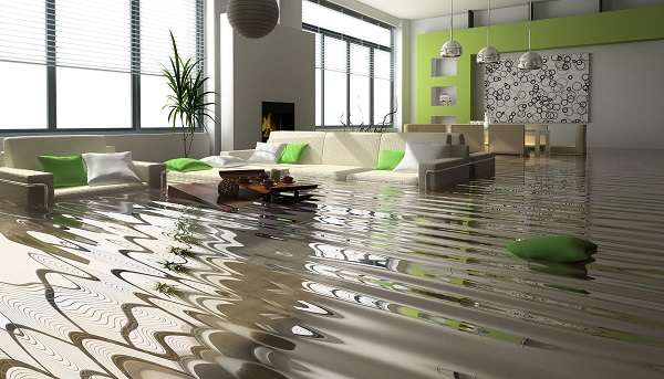 Restoration Companies Near Me in Maricopa, AZ Image